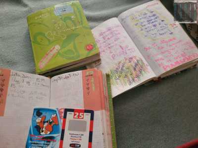 Il mondo dei vecchi diari scolastici